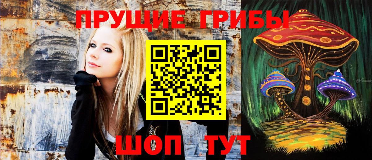 Псилоцибиновые грибы мицелий Арзамас